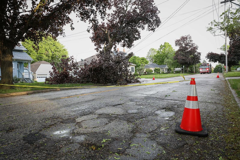 A fallen tree along Pleasant Street in Woodstock on May 15, 2025, following thunderstorms.