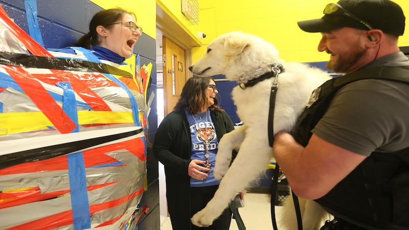 Photos: Princeton Logan Jr. High teachers get taped up for a good cause