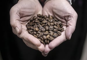 What is a tariff, who pays for it, and what happens next?