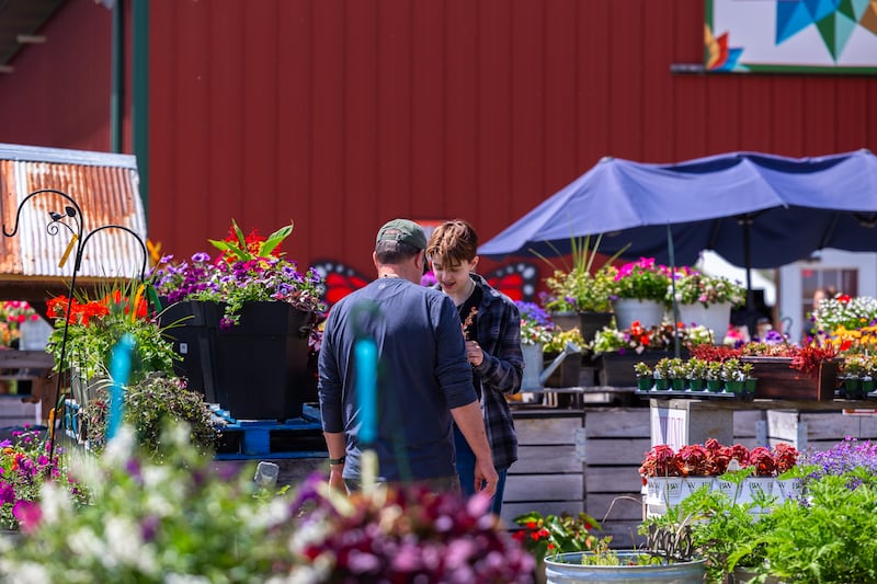Siegel’s Cottonwood Farm in Crest Hill recently closed its garden center in April 2026 after 35 years. Customers praised the quality and wide variety of its plants.