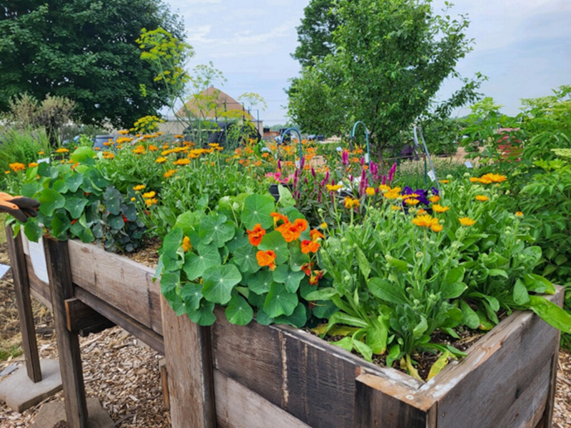 It's not to early to starting sowing your garden, even if it's still cold outside.