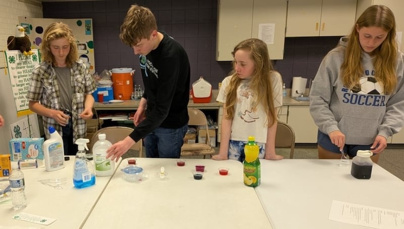Pictured are David Bagwell, Kolton Motszko, Izabel Cortinez and Lydia Sherburne.