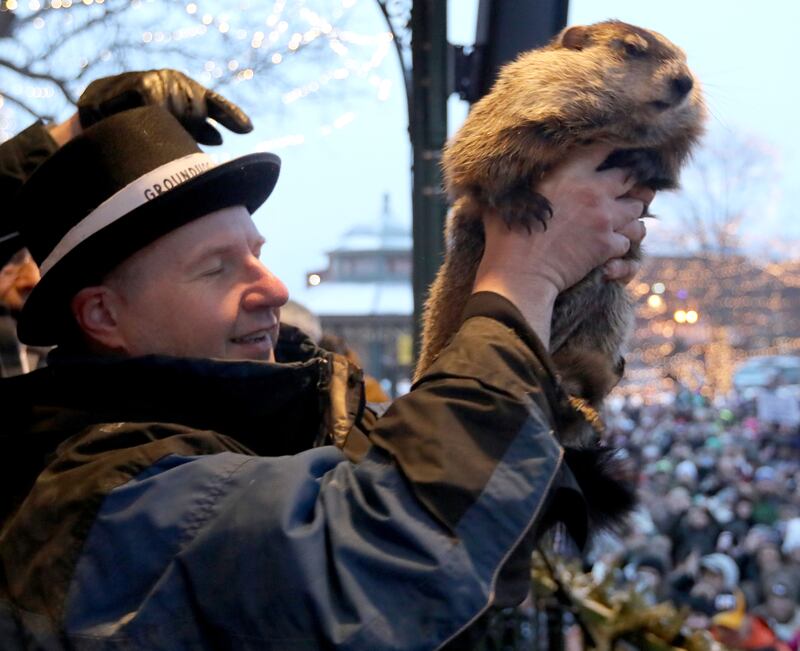 Woodstock Willie is held by handler Mark Szafran as Willie looks to see if he can see his shadow on Monday, Feb. 2, 2026, during the annual Groundhog Day Prognostication in the Woodstock Square.