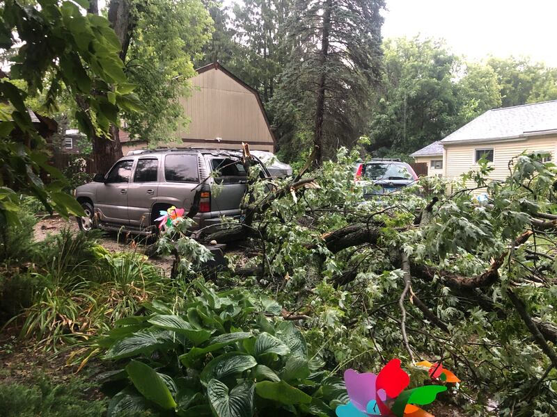 A tree went through the back window of this vehicle on Bloner Parkway in unincorporated Fox River Grove during the storm that rolled through at about 4 p.m. Saturday, Aug. 16, 2025.