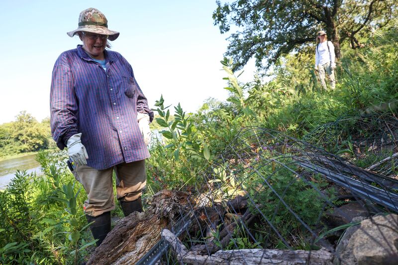 Karen Horn, volunteer with the Friends of Langham Island, recounts the day she rediscovered endangered leafy prairie clover, protected by fencing at right, which hasn't been seen since 1873 on Langham Island during a stewardship day on July 17, 2025.