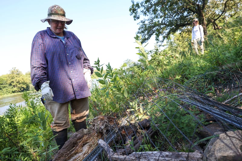 Karen Horn, volunteer with the Friends of Langham Island, recounts the day she rediscovered endangered leafy prairie clover, protected by fencing at right, which hasn't been seen since 1873 on Langham Island during a stewardship day on July 17, 2025.