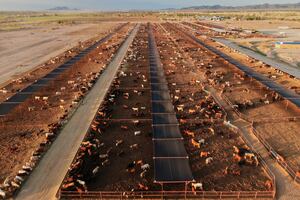 Ag groups react to beef import proposal