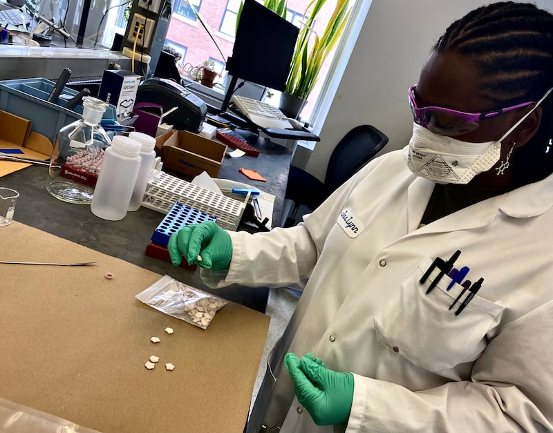 A forensic chemist with the Drug Enforcement Administration North Central Forensic Laboratory in Chicago tests seized counterfeit pills for presence of fentanyl.