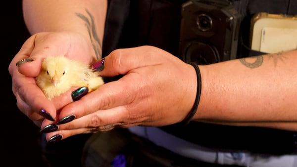 Animals rescued in Joliet after police uncover ‘broader criminal operation’