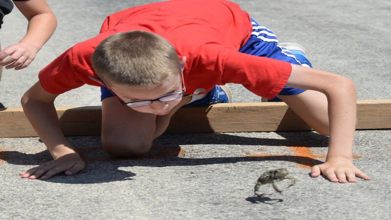 Photos: Hooppole Fun Day 2025