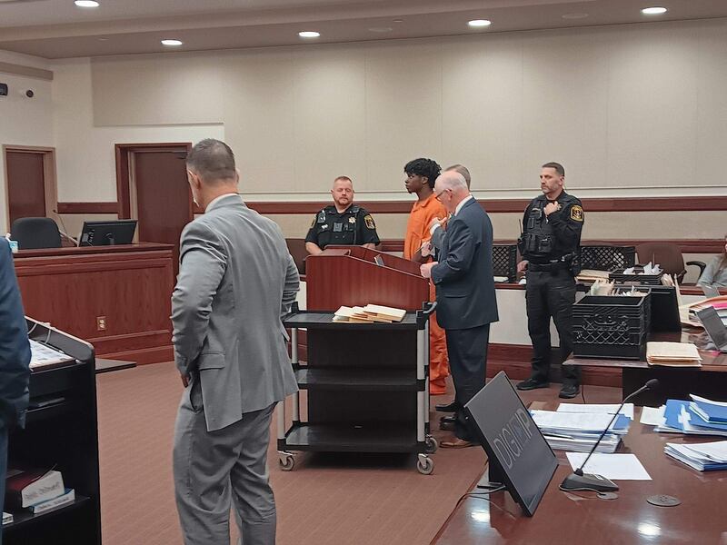 During a court hearing on Oct. 30, Darryl Lee Jr., 19, of Kankakee, was assigned a public defender. He faces 11 felony counts, including first-degree murder, concealment of homicidal death and armed robbery.