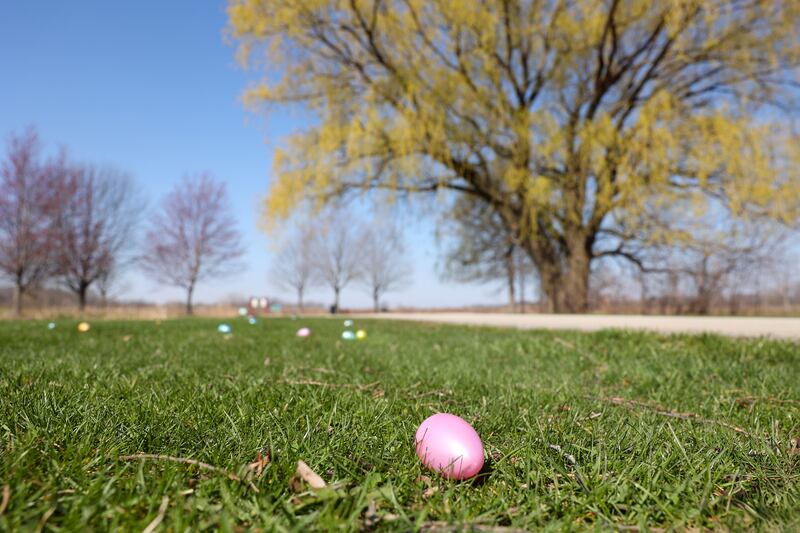 One of the 12,000 prize-filled, plastic eggs awaits participants during the annual Easter Egg Hunt at Perry Farm Park on Saturday, April 12, 2025.
