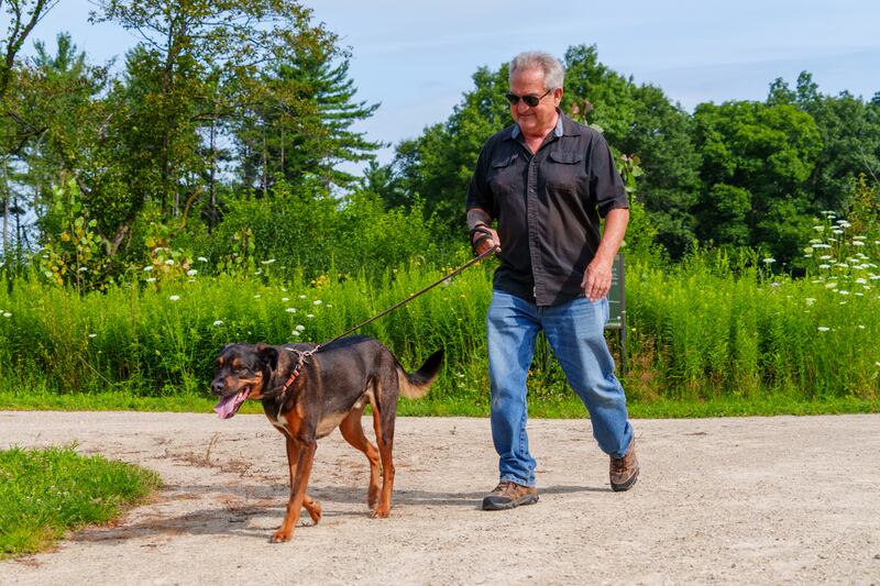 Hike Lake County is an annual walking program that invites residents to explore a variety of forest preserves.