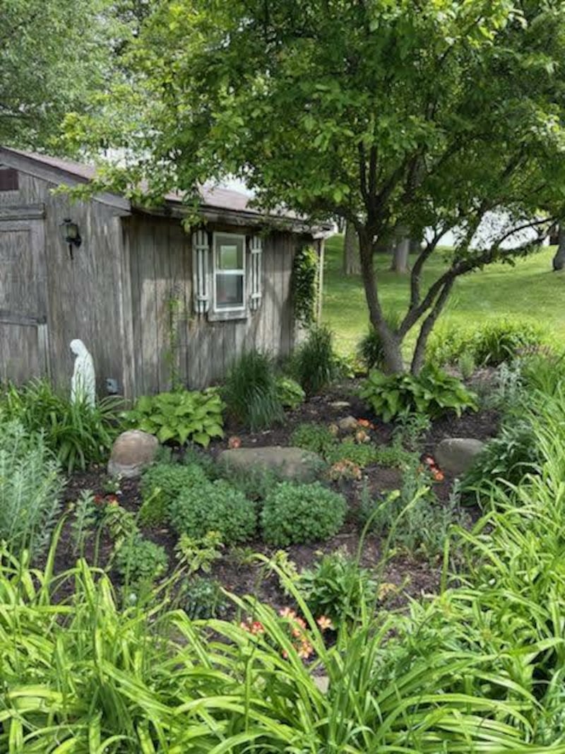 The stunning gardens of Jeff and Kim Bennett await you at this year's Kankakee Kultivators Garden Tour and Artisan Faire. Over the past 6 years, the gardens of this modern-styled home, nestled in mature oak and walnut, have been lovingly recreated and nurtured by the Bennetts. Working with the foundation of the 36 year-old established garden beds, they have transformed this woodland gem, with each season bringing a new look to their landscape. Gardens and wildflowers now surround the pond, where their grandchildren enjoy the sport of catch and release. Additional perennials have been added to the playhouse and playground area creating a charming space where one can pause and enjoy a glass of lemonade and take in the beautiful views of the river and gardens.