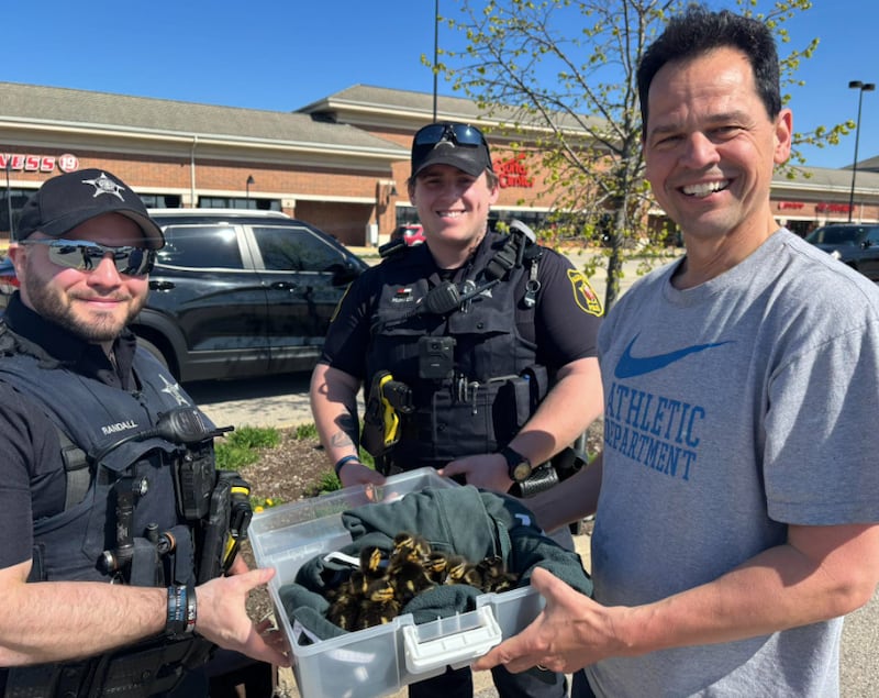 Algonquin Police Department officers Randall and Hunter rescue ducklings after they fell into a sewer grate on April 27, 2025.