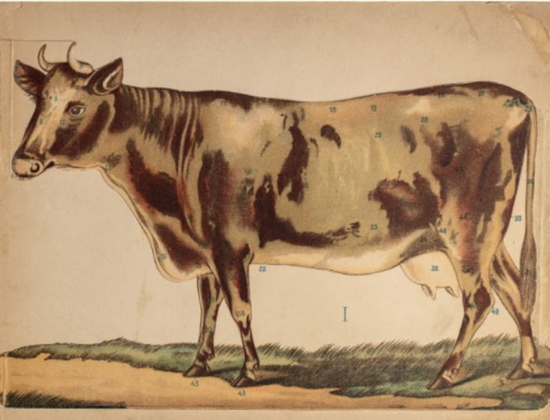 The DeKalb County History Center in partnership with the University of Illinois Rare Books Department is hosting, “Harness and Harvest: Exploring the Partnership Between People, Animals, and the Land” on Thursday, Sept. 25, 2025.