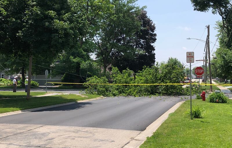 A tree fell over and onto power lines at about 11:15 p.m. Sunday, June 8, 2025, at Church and Second streets in Huntley.