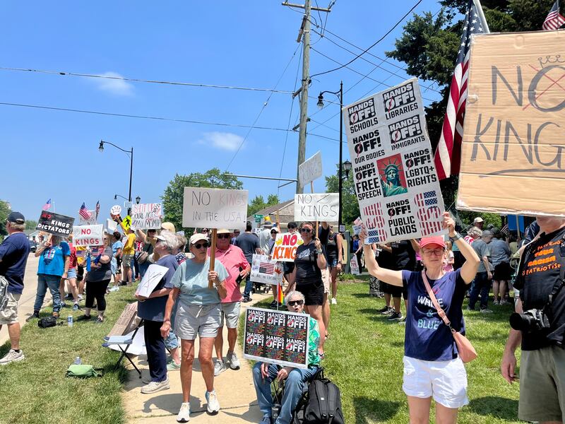 Protesters line the streets in downtown Yorkville during the "No Kings" demonstration. They cheered and urged passing cars to honk in solidarity with protecting civil liberties.