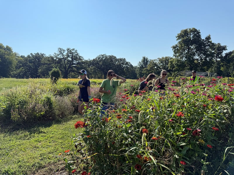 Sterling High School students had a day of learning during a recent field trip to Kitzman’s Farm Sanctuary in Dixon. Before the day was over, students had gained a firsthand look at animal care and received agricultural science lessons that usually stay confined to the classroom.