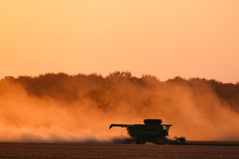 Soybeans are harvested on the Warpup Farm in Warren, Ind., Wednesday, Sept. 17, 2025. (AP Photo/Michael Conroy)