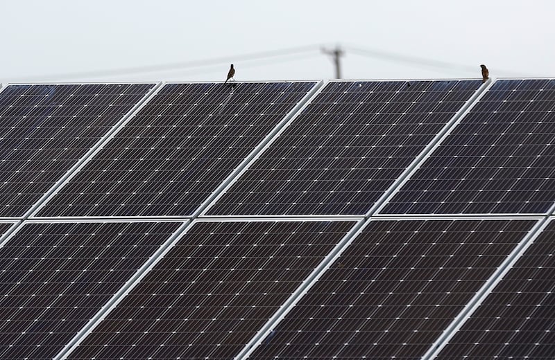 The solar farm at Huntley High School on Friday, June 30, 2023. Multiple solar farms across McHenry County are being presented to the McHenry County Board creating concerns of watershed, farmland and pollinator issues.