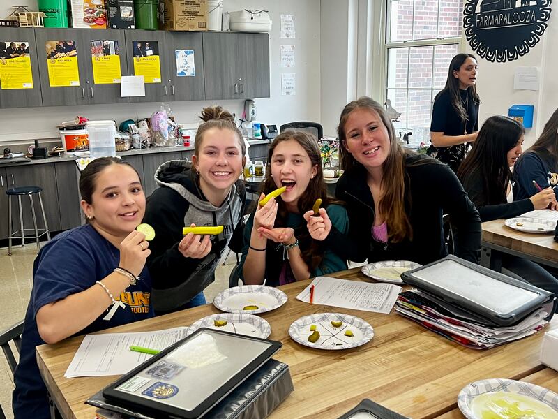 Sterling High School Agriculture Education students Toni Martinez, Breanna Taylor, Rachel Kirchoff and Madilyn Davis enjoy pickles during class.