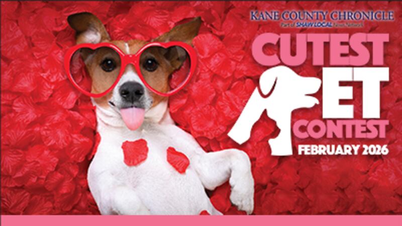 Voting is open in Kane County February Cutest Pet Contest!