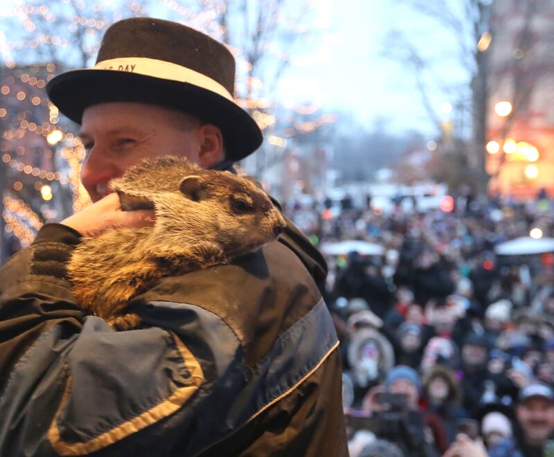 Woodstock Willie is held by handler Mark Szafran as Willie looks to see if he can see his shadow on Monday, Feb. 2, 2026, during the annual Groundhog Day Prognostication in the Woodstock Square.