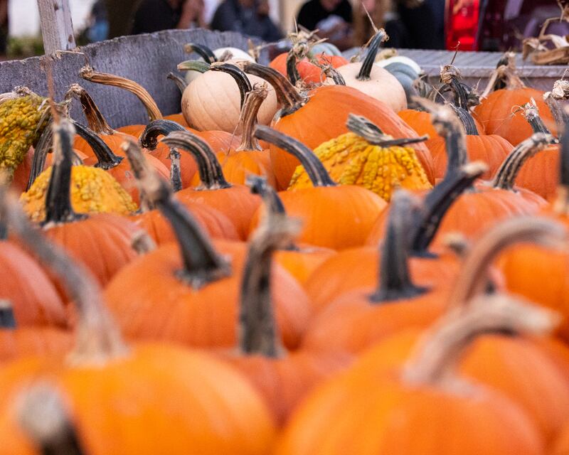 Brazel Farms Produce sells pumpkins at the Monster Mash Balloon Bash on Saturday, Oct. 4, 2025 at the Bureau County Fairgrounds in Princeton.