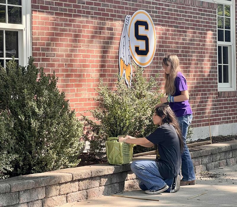 Sterling High School horticulture students plant bushes in front of the school as part of their landscape design curriculum.