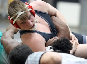 Photos: IHSA Class 2A Harvard Regional wrestling