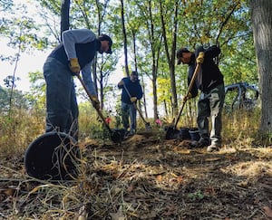 Forest Preserves hiring for temporary positions