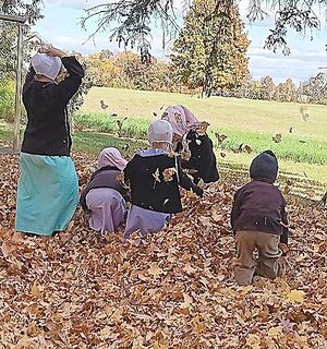 Lovina asks for help naming Midnight's colt