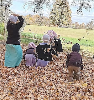 Lovina asks for help naming Midnight's colt