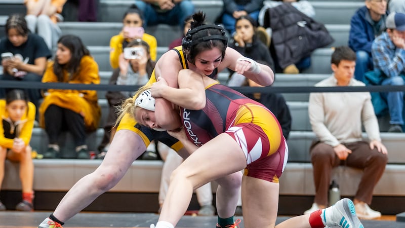 Postseason begins for Will and Grundy county’s girls wrestlers in East Aurora, Normal West