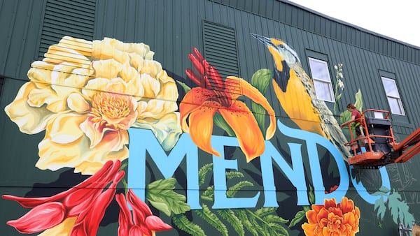 Photos: Artist brings Illinois ecosystems to life in Mendota mural