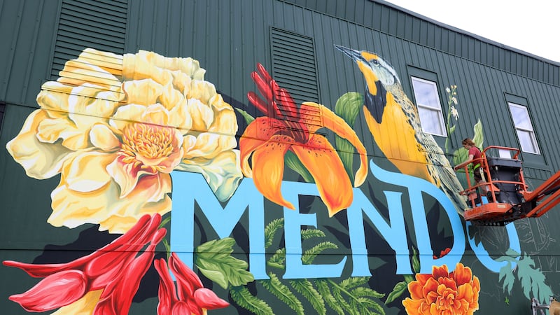 Photos: Artist brings Illinois ecosystems to life in Mendota mural