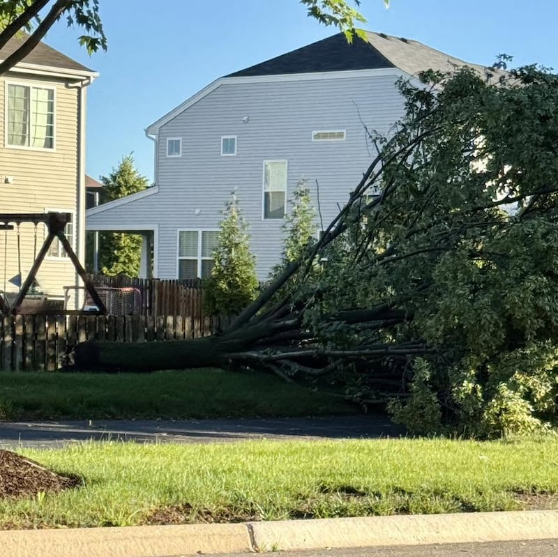 The storms that slammed through the region on Thursday caused damage throughout Oswego, including downed trees and utility lines.