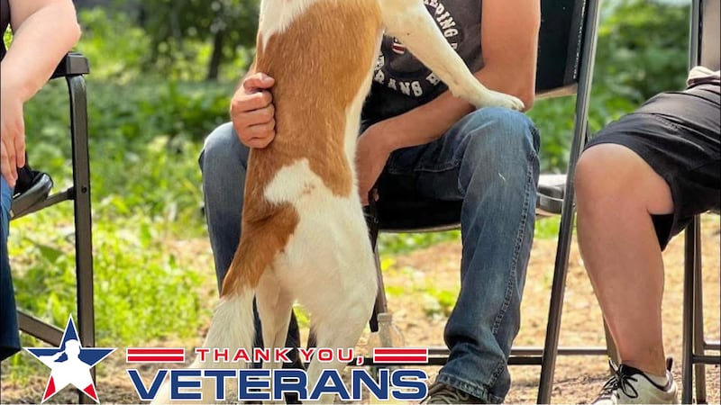 Thank You, Veterans: Dwight veteran finds healing in nature
