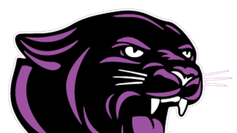 Seven McHenry County girls wrestlers advance to IHSA state semifinals