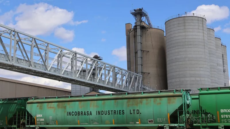 Illinois bets on biodiesel: Expanding the market for domestic soybeans