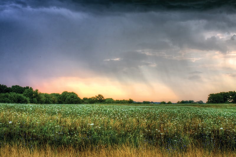The Board approved to expand Ray Lake (pictured) and Half Day forest preserves in Wauconda.