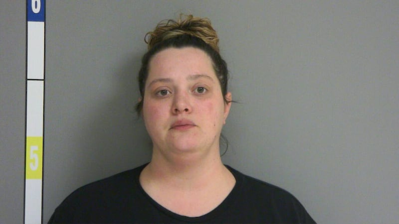 La Salle woman pleads guilty to 2023 hit-and-run