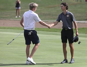 Photos: 2025 IHSA Class 2A Crystal Lake South Boys Golf Regional