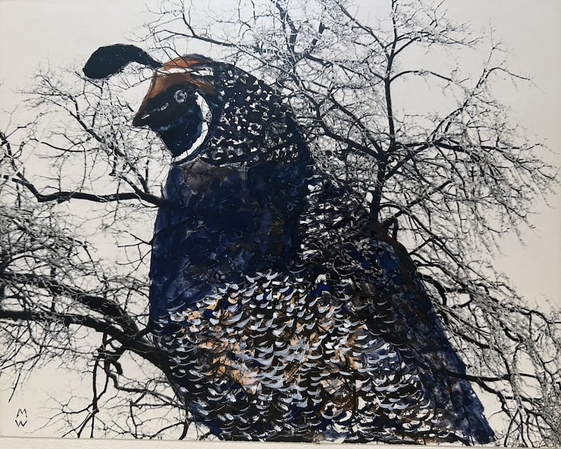 The Forest Preserve District of Will County’s Plum Creek Nature Center will blend art and birdwatching this summer with a colorful exhibit celebrating America’s state birds.