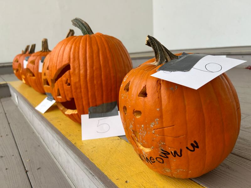 A pumpkin-carving contest was held in conjunction with the Fall Family Festival in Mt. Morris on Sunday, Oct. 13, 2024.