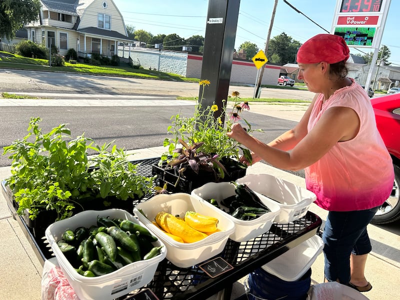 Beth Green of Earl-E Green Gardens of Polo, rearranges flowers at her booth at the Polo Farmer's Market on Thursday, Aug. 7, 2025. The market is held each Thursday, 3-6 p.m., weather permitting, at the Pavilion located on the southeast corner of South Division and Buffalo Street.