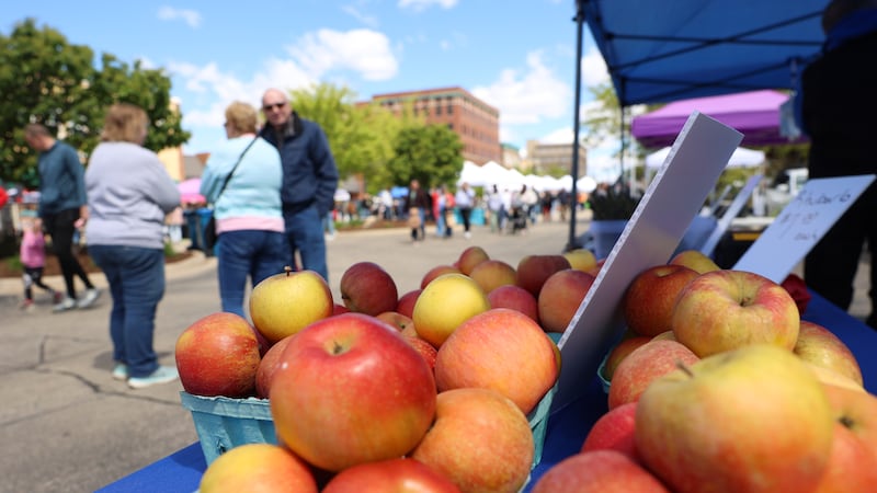 5 Things to Do in Kankakee County: Kankakee Farmers Market, Sandwiches with a Side of Jam and more this week