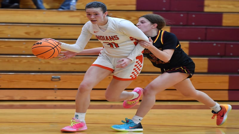 2026 Herald-News Girls Basketball All-Area Team