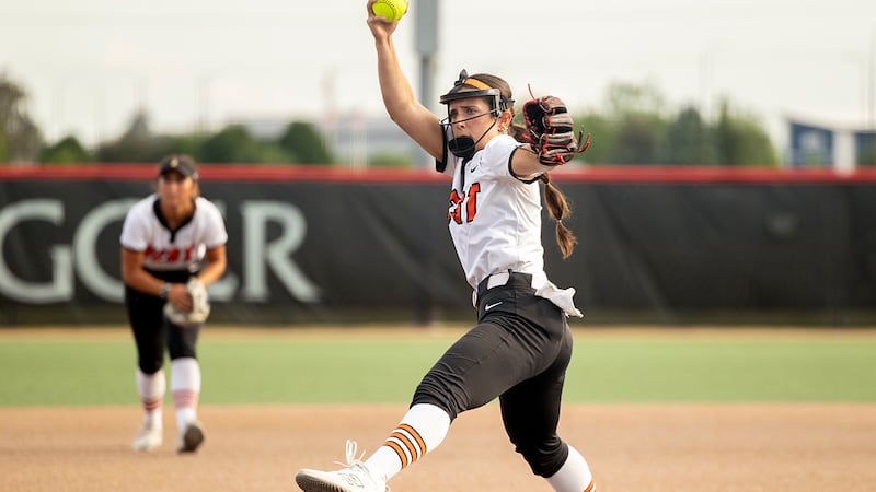Herald-News area softball players highlight several all-conference teams